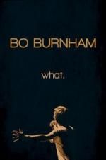 Watch Bo Burnham: what. 1channel