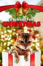Watch A Bengal for Christmas 1channel