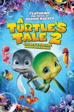 Watch A Turtle\'s Tale 2: Sammy\'s Escape from Paradise 1channel