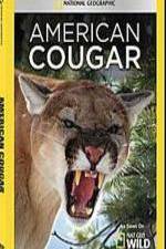 Watch National Geographic - American Cougar 1channel