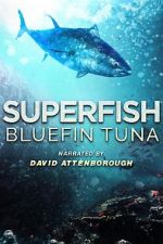 Watch Superfish Bluefin Tuna 1channel