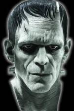 Watch Frankenstein Birth of a Monster 1channel