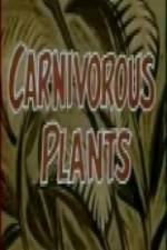 Watch Carnivorous Plants 1channel