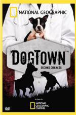 Watch National Geographic DogTown 1channel