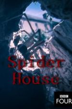 Watch Spider House 1channel
