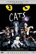 Watch Great Performances Cats 1channel