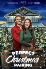 Watch A Perfect Christmas Pairing 1channel