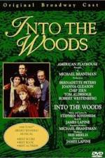 Watch Into the Woods 1channel