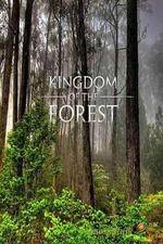 Watch National Geographic Kingdom of the Forest 1channel