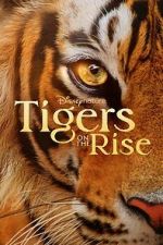 Watch Tigers on the Rise 1channel