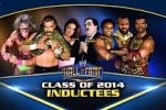 Watch WWE Hall of Fame 1channel