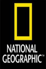 Watch National Geographic Sharks in The City 1channel