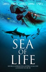 Watch Sea of Life 1channel