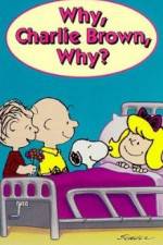 Watch Why Charlie Brown Why 1channel