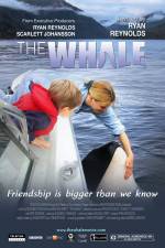 Watch The Whale 1channel