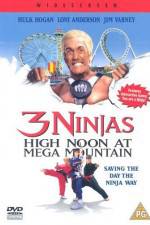 Watch 3 Ninjas High Noon at Mega Mountain 1channel