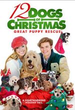 Watch 12 Dogs of Christmas: Great Puppy Rescue 1channel