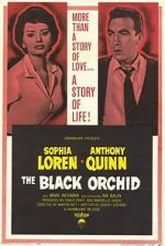 Watch The Black Orchid 1channel