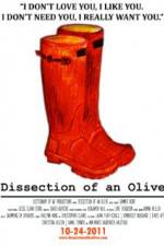 Watch Dissection of an Olive 1channel