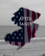 Watch After Sandy 1channel