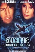 Watch Rough Air: Danger on Flight 534 1channel