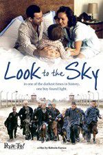 Watch Look to the Sky 1channel