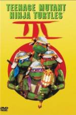Watch Teenage Mutant Ninja Turtles III 1channel