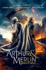 Watch Arthur & Merlin: Knights of Camelot 1channel