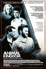 Watch Animal Kingdom 1channel