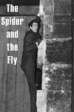 Watch The Spider and the Fly 1channel