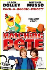 Watch Hatching Pete 1channel