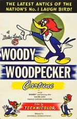 Watch The Woody Woodpecker Polka 1channel