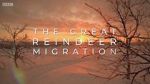 Watch All Aboard! The Great Reindeer Migration 1channel