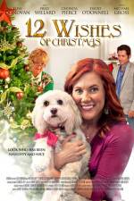 Watch 12 Wishes of Christmas 1channel