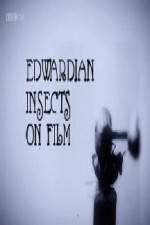 Watch Edwardian Insects on Film 1channel