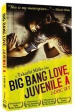 Watch Big Bang Love Juvenile A 1channel