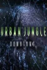 Watch National Geographic Wild Urban Jungle Downtown 1channel