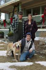 Watch Hallmark Hall of Fame A Dog Named Christmas 1channel