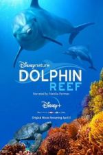 Watch Dolphin Reef 1channel