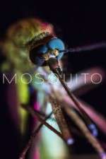 Watch Mosquito 1channel