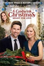 Watch A Godwink Christmas: Meant for Love 1channel