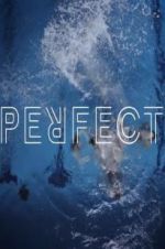 Watch Perfect 1channel