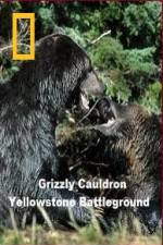 Watch National Geographic Grizzly Cauldron 1channel