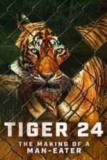 Watch Tiger 24 1channel