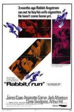 Watch Rabbit Run 1channel