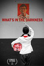 Watch What\'s in the Darkness 1channel
