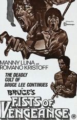 Watch Bruce\'s Fists of Vengeance 1channel
