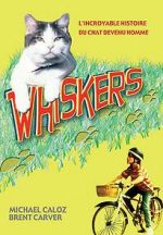 Watch Whiskers 1channel