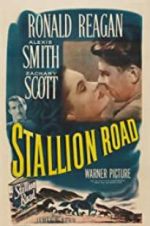 Watch Stallion Road 1channel