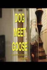 Watch Dog Meet Goose 1channel